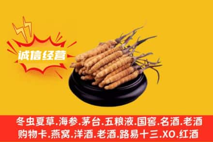八步区回收冬虫夏草